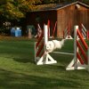 agility 2011-10-30